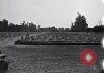 Image of Secretary of State Cordell Hull visits U.S. 4th Division Cemetery Normandy France, 1944, second 4 stock footage video 65675027617