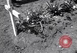Image of Secretary of State Cordell Hull visits U.S. 4th Division Cemetery Normandy France, 1944, second 27 stock footage video 65675027617