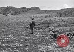 Image of U.S. marines in battle of Saipan Saipan Northern Mariana Islands, 1944, second 53 stock footage video 65675027621