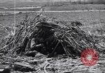 Image US Marines dans des abris improvisés Saipan Îles Mariannes du Nord, 1944, de la seconde 57 séquences d'archives historiques vidéo 65675027622
