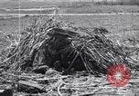 Image US Marines dans des abris improvisés Saipan Îles Mariannes du Nord, 1944, de la seconde 61 séquences d'archives historiques vidéo 65675027622