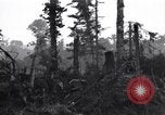 Standbild Soldaten Saint Lo Frankreich, 1944, aus Sekunde 23 historischem Filmmaterial Videoclip 65675027631