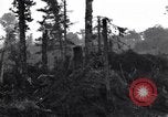 Standbild Soldaten Saint Lo Frankreich, 1944, aus Sekunde 25 historischem Filmmaterial Videoclip 65675027631