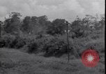 Standbild P-40 Bomber Myitkyina Airdrome Birma, 1944, aus Sekunde 28 historischem Filmmaterial Videoclip 65675027635