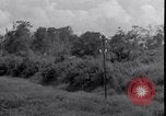 Standbild P-40 Bomber Myitkyina Airdrome Birma, 1944, aus Sekunde 30 historischem Filmmaterial Videoclip 65675027635