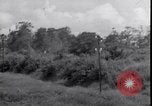 Standbild P-40 Bomber Myitkyina Airdrome Birma, 1944, aus Sekunde 31 historischem Filmmaterial Videoclip 65675027635