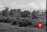Standbild P-40 Bomber Myitkyina Airdrome Birma, 1944, aus Sekunde 32 historischem Filmmaterial Videoclip 65675027635