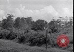 Standbild P-40 Bomber Myitkyina Airdrome Birma, 1944, aus Sekunde 33 historischem Filmmaterial Videoclip 65675027635