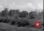 Standbild P-40 Bomber Myitkyina Airdrome Birma, 1944, aus Sekunde 34 historischem Filmmaterial Videoclip 65675027635