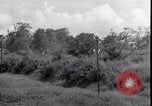 Standbild P-40 Bomber Myitkyina Airdrome Birma, 1944, aus Sekunde 35 historischem Filmmaterial Videoclip 65675027635