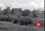 Standbild P-40 Bomber Myitkyina Airdrome Birma, 1944, aus Sekunde 37 historischem Filmmaterial Videoclip 65675027635