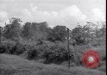 Standbild P-40 Bomber Myitkyina Airdrome Birma, 1944, aus Sekunde 39 historischem Filmmaterial Videoclip 65675027635