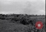 Standbild P-40 Bomber Myitkyina Airdrome Birma, 1944, aus Sekunde 56 historischem Filmmaterial Videoclip 65675027635