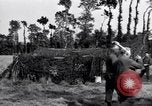 Immagine di Generale Henry Stimson L Francia, 1944, secondo 32 filmato di repertorio 65675027639