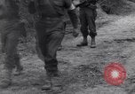 Standbild Mediziner helfen verwundeten US-Soldat des 29 Division Saint Lo Frankreich, 1944, aus Sekunde 20 historischem Filmmaterial Videoclip 65675027648