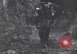 Standbild Mediziner helfen verwundeten US-Soldat des 29 Division Saint Lo Frankreich, 1944, aus Sekunde 34 historischem Filmmaterial Videoclip 65675027648