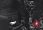 Standbild Mediziner helfen verwundeten US-Soldat des 29 Division Saint Lo Frankreich, 1944, aus Sekunde 40 historischem Filmmaterial Videoclip 65675027648