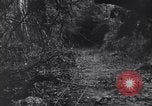 Standbild Mediziner helfen verwundeten US-Soldat des 29 Division Saint Lo Frankreich, 1944, aus Sekunde 44 historischem Filmmaterial Videoclip 65675027648
