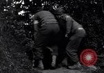Standbild Mediziner helfen verwundeten US-Soldat des 29 Division Saint Lo Frankreich, 1944, aus Sekunde 45 historischem Filmmaterial Videoclip 65675027648