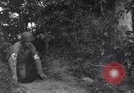 Standbild Mediziner helfen verwundeten US-Soldat des 29 Division Saint Lo Frankreich, 1944, aus Sekunde 55 historischem Filmmaterial Videoclip 65675027648