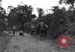 Standbild 29 Division Soldaten aussehen für Landminen Saint Lo Frankreich, 1944, aus Sekunde 3 historischem Filmmaterial Videoclip 65675027650