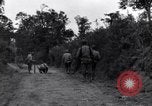 Standbild 29 Division Soldaten aussehen für Landminen Saint Lo Frankreich, 1944, aus Sekunde 4 historischem Filmmaterial Videoclip 65675027650