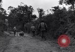 Standbild 29 Division Soldaten aussehen für Landminen Saint Lo Frankreich, 1944, aus Sekunde 5 historischem Filmmaterial Videoclip 65675027650