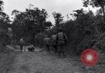 Standbild 29 Division Soldaten aussehen für Landminen Saint Lo Frankreich, 1944, aus Sekunde 7 historischem Filmmaterial Videoclip 65675027650