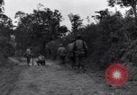 Standbild 29 Division Soldaten aussehen für Landminen Saint Lo Frankreich, 1944, aus Sekunde 8 historischem Filmmaterial Videoclip 65675027650