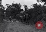 Standbild 29 Division Soldaten aussehen für Landminen Saint Lo Frankreich, 1944, aus Sekunde 9 historischem Filmmaterial Videoclip 65675027650