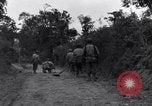 Standbild 29 Division Soldaten aussehen für Landminen Saint Lo Frankreich, 1944, aus Sekunde 10 historischem Filmmaterial Videoclip 65675027650