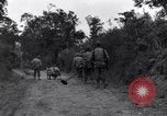 Standbild 29 Division Soldaten aussehen für Landminen Saint Lo Frankreich, 1944, aus Sekunde 12 historischem Filmmaterial Videoclip 65675027650