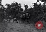 Standbild 29 Division Soldaten aussehen für Landminen Saint Lo Frankreich, 1944, aus Sekunde 13 historischem Filmmaterial Videoclip 65675027650