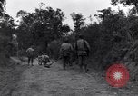 Standbild 29 Division Soldaten aussehen für Landminen Saint Lo Frankreich, 1944, aus Sekunde 15 historischem Filmmaterial Videoclip 65675027650