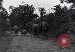 Standbild 29 Division Soldaten aussehen für Landminen Saint Lo Frankreich, 1944, aus Sekunde 16 historischem Filmmaterial Videoclip 65675027650