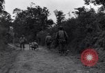 Standbild 29 Division Soldaten aussehen für Landminen Saint Lo Frankreich, 1944, aus Sekunde 18 historischem Filmmaterial Videoclip 65675027650