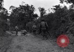 Standbild 29 Division Soldaten aussehen für Landminen Saint Lo Frankreich, 1944, aus Sekunde 19 historischem Filmmaterial Videoclip 65675027650