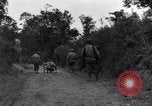 Standbild 29 Division Soldaten aussehen für Landminen Saint Lo Frankreich, 1944, aus Sekunde 20 historischem Filmmaterial Videoclip 65675027650