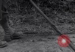 Standbild 29 Division Soldaten aussehen für Landminen Saint Lo Frankreich, 1944, aus Sekunde 43 historischem Filmmaterial Videoclip 65675027650