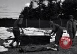 Immagine di Soldati Francia, 1944, secondo 30 filmato di repertorio 65675027655