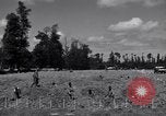 Image La Gambe Cemetery Normandie France, 1944, de la seconde 17 séquences d'archives historiques vidéo 65675027656