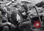 Image of German prisoners Saint Mere Eglise France, 1944, second 32 stock footage video 65675027669