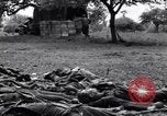 Image of German dead near Merderet River World War 2 France, 1944, second 3 stock footage video 65675027673