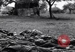 Image of German dead near Merderet River World War 2 France, 1944, second 4 stock footage video 65675027673