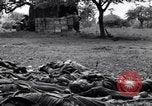 Image of German dead near Merderet River World War 2 France, 1944, second 5 stock footage video 65675027673