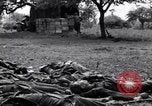Image of German dead near Merderet River World War 2 France, 1944, second 6 stock footage video 65675027673