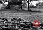 Image of German dead near Merderet River World War 2 France, 1944, second 9 stock footage video 65675027673