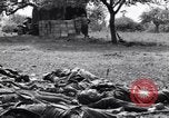 Image of German dead near Merderet River World War 2 France, 1944, second 11 stock footage video 65675027673