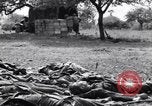 Image of German dead near Merderet River World War 2 France, 1944, second 12 stock footage video 65675027673