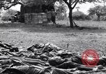 Image of German dead near Merderet River World War 2 France, 1944, second 13 stock footage video 65675027673